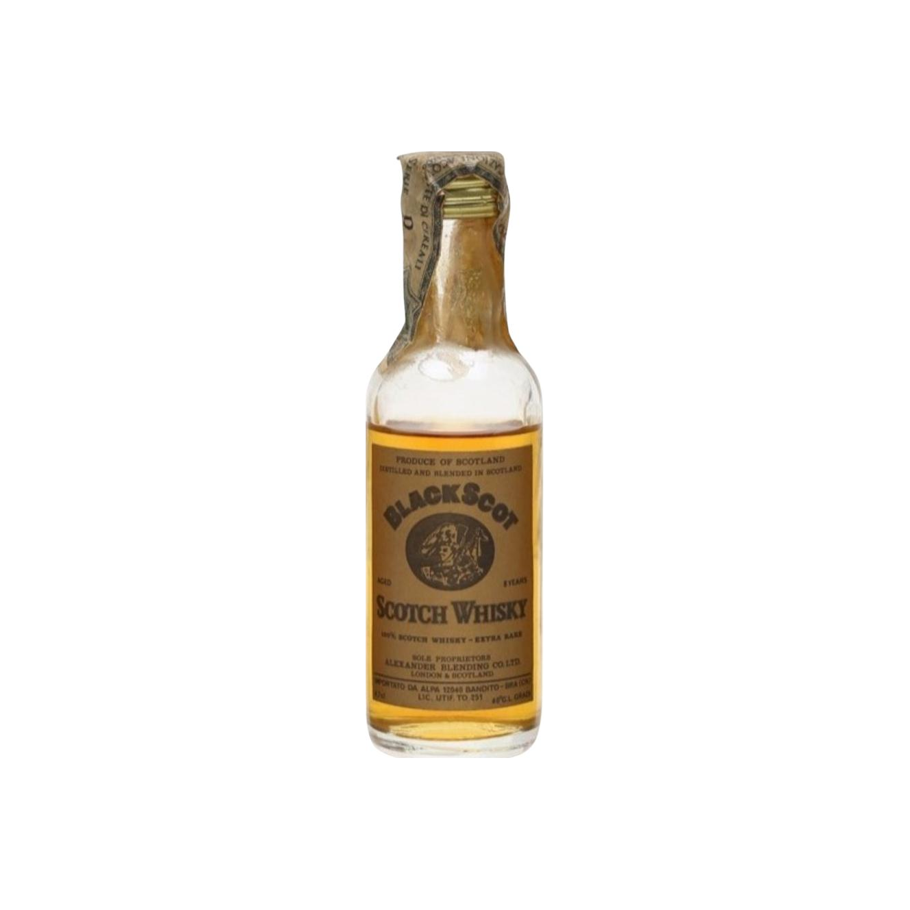 Black Scot 08-year-old 2