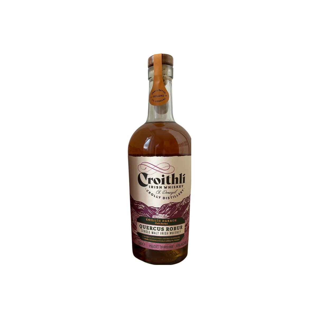 Croithlí Quercus Robur 2