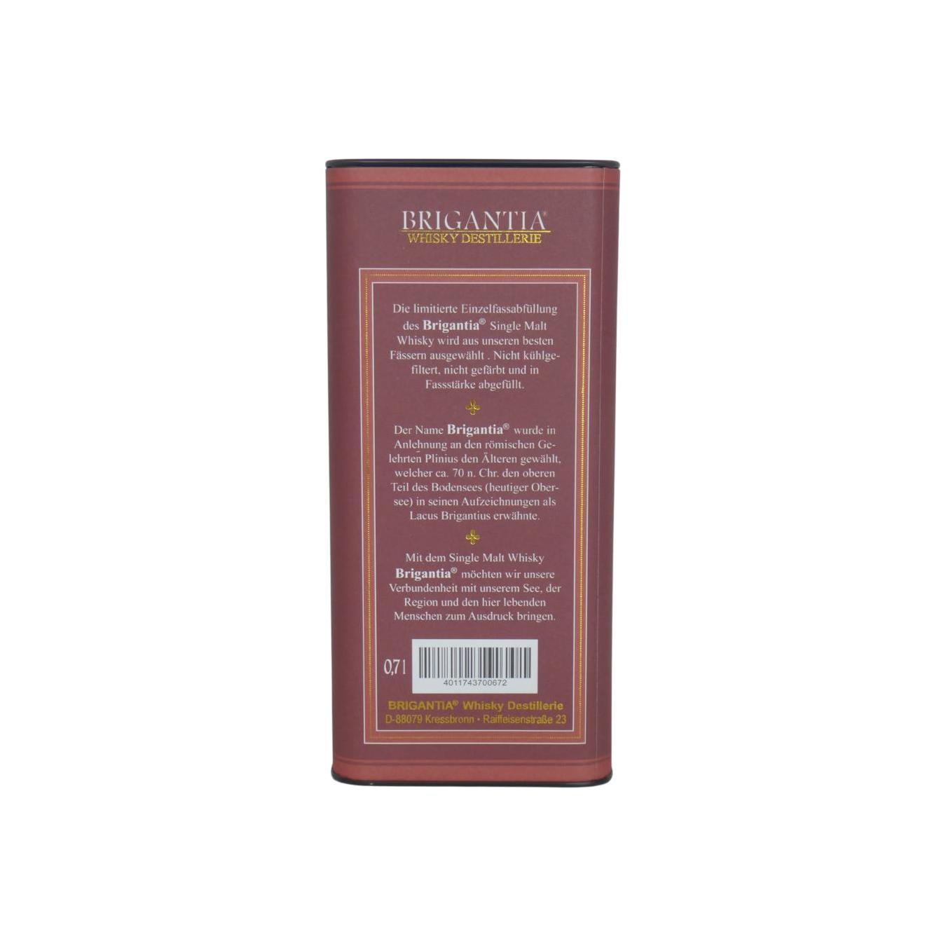 Brigantia 05-year-old 2