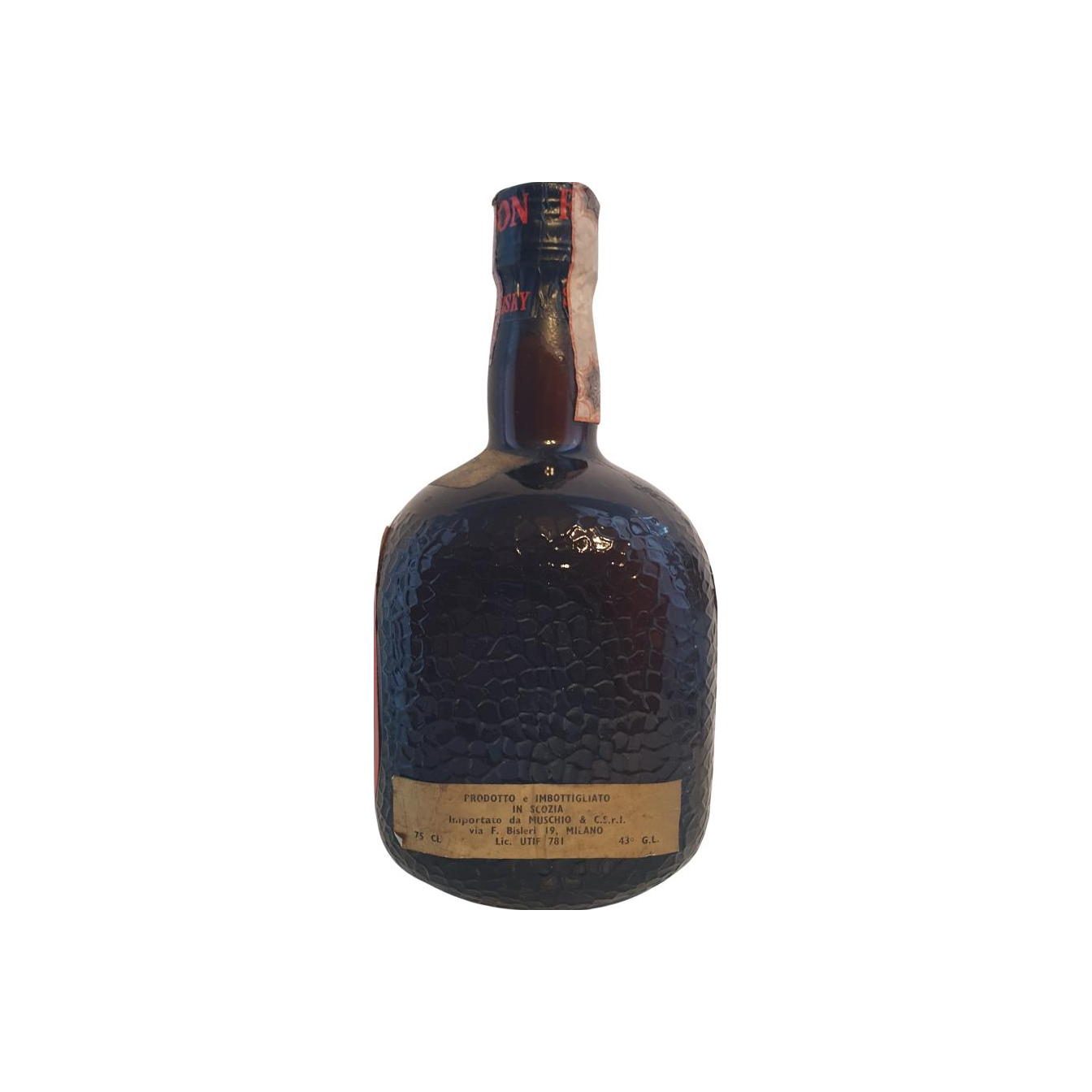 Westminster 05-year-old UWCo 4
